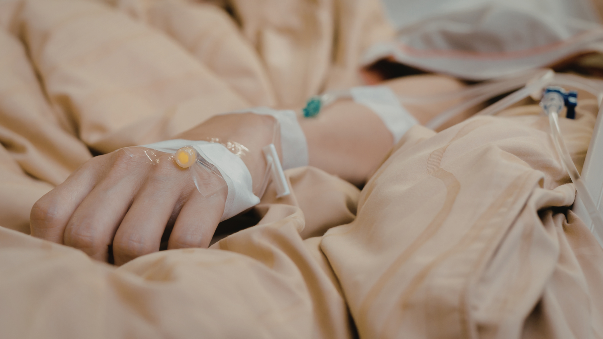 Woman Charged in Fort Bend County Wrong-Way Crash, Gets $1M Bail