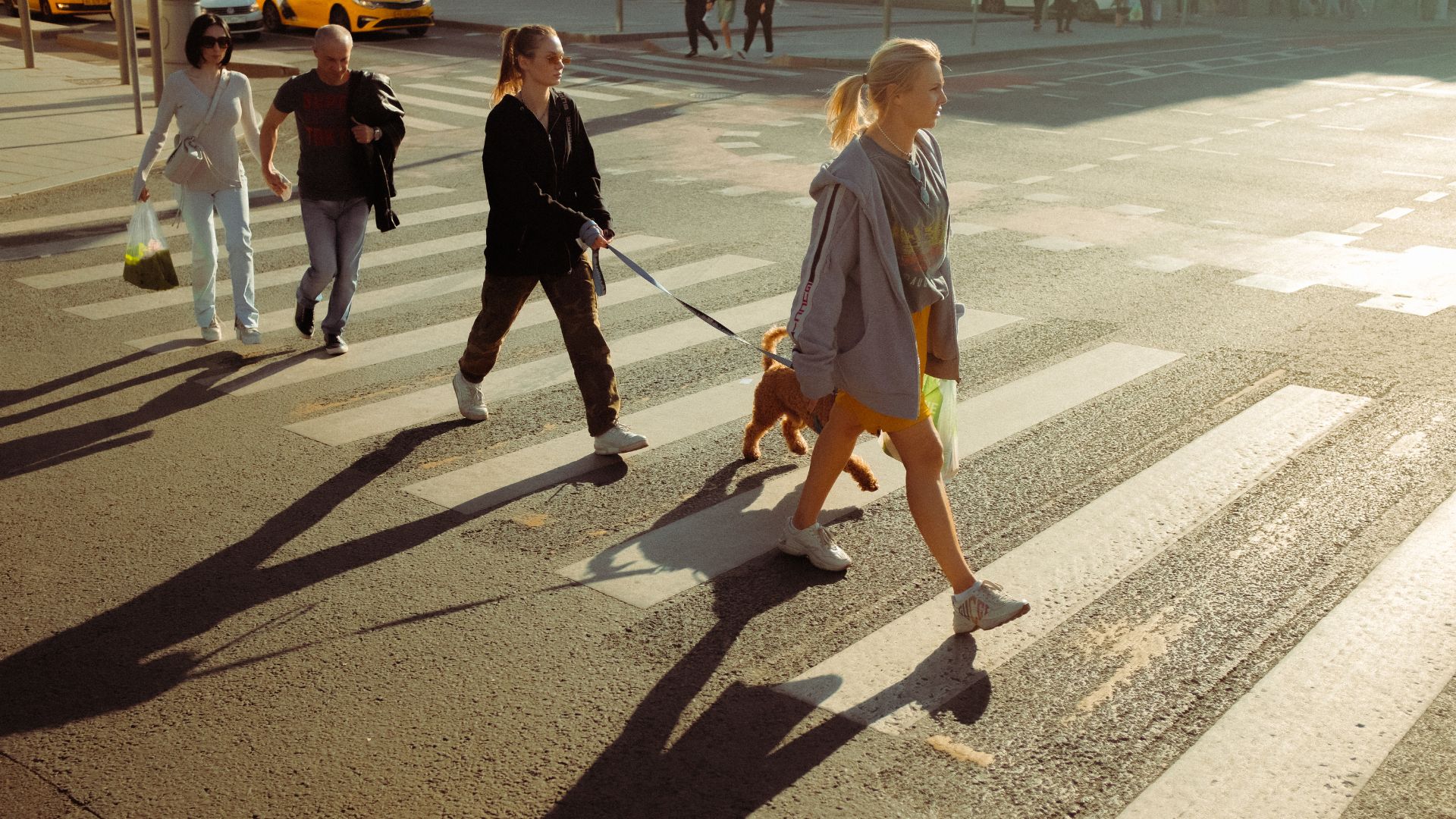 Contact Our Fatal Pedestrian Accident Attorneys in Houston Today