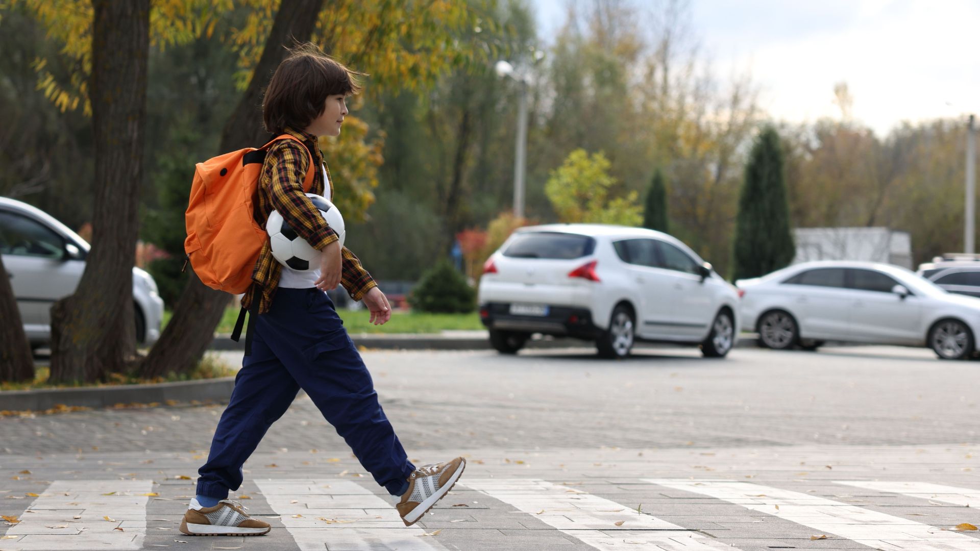 Houston Crosswalk Pedestrian Accident Lawyers Img