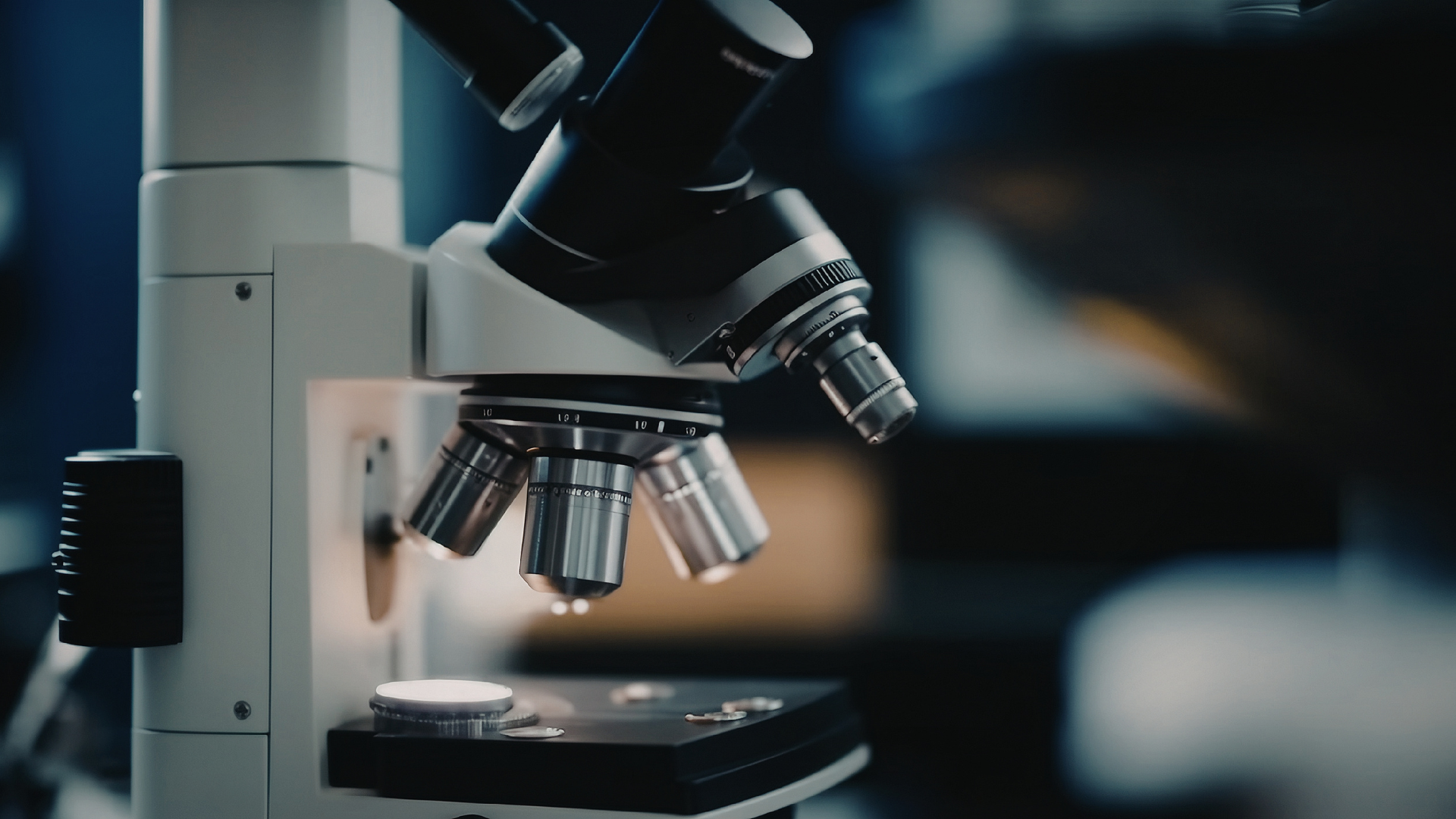 How Police Investigate a West Houston Pedestrian Hit-and-Run Incident